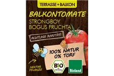 Bio Balkontomate Strongboy 12 cm Topf