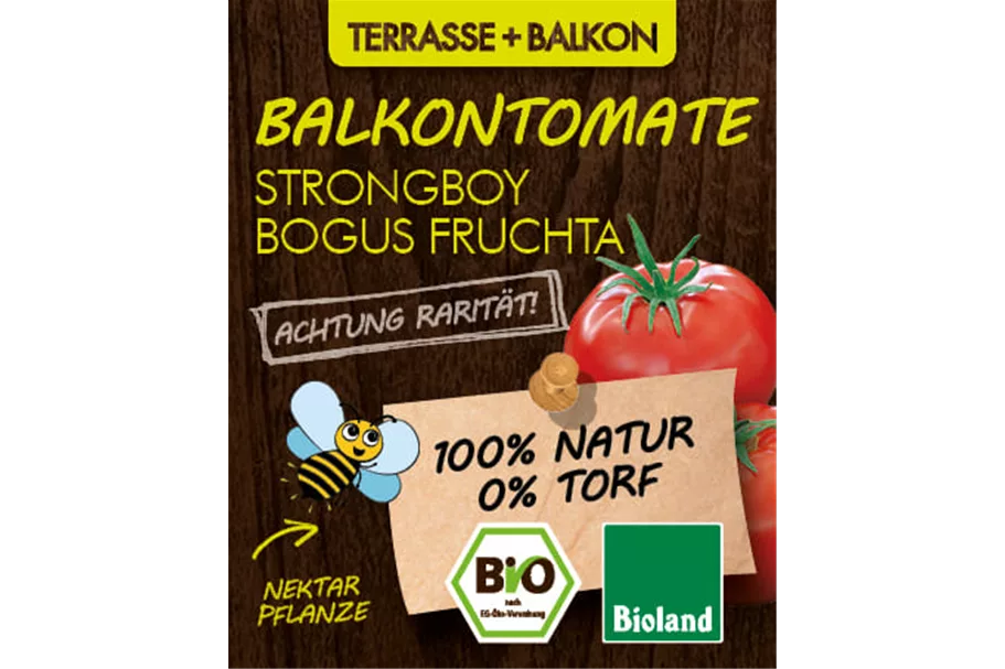 Bio Balkontomate Strongboy 12 cm Topf