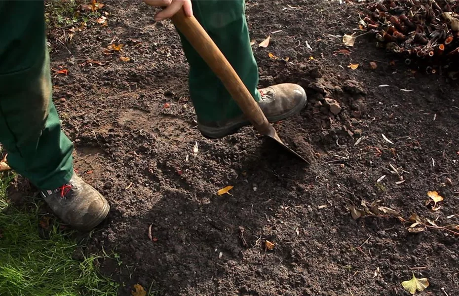 Gräser - Einpflanzen im Garten