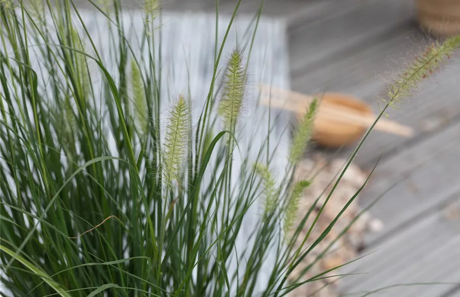 Gräser pflegen und dem Windspiel im Garten lauschen