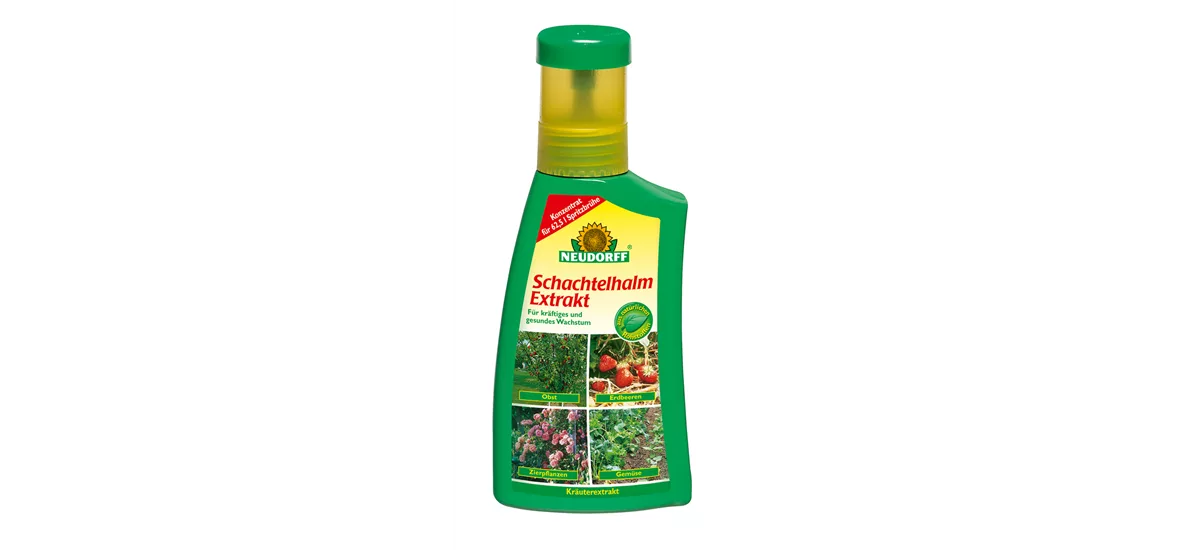 Neudorff Schachtelhalm Extrakt 250 ml