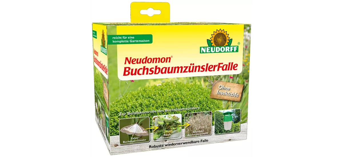 Neudomon BuchsbaumzünslerFalle 1 st