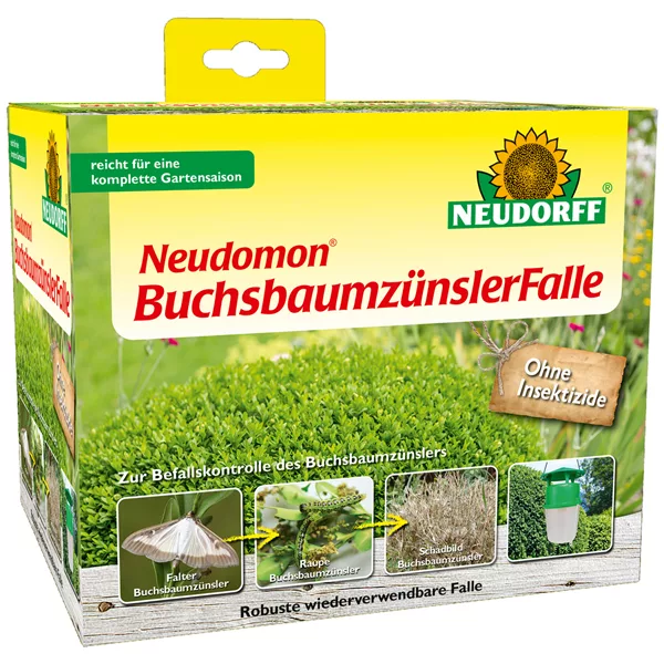 Neudomon BuchsbaumzünslerFalle