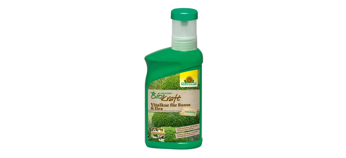 Neudorff BioKraft Vitalkur für Buxus & Ilex 300 ml