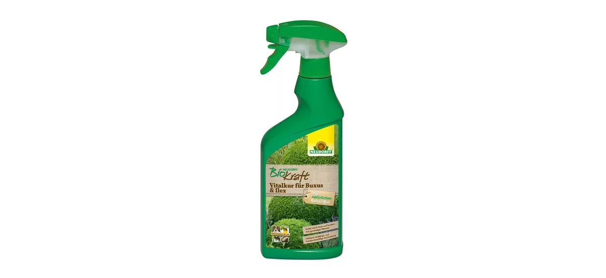 Neudorff BioKraft Vitalkur für Buxus&Ilex (anwendungsfertig) 500 ml