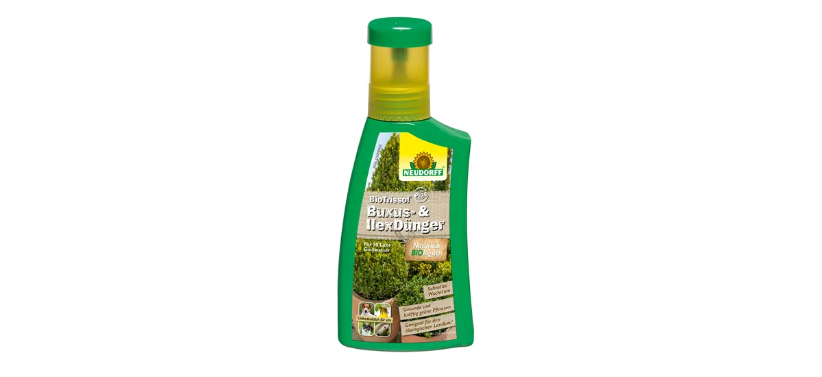 BioTrissolPlus Buxus- und IlexDünger 250 ml