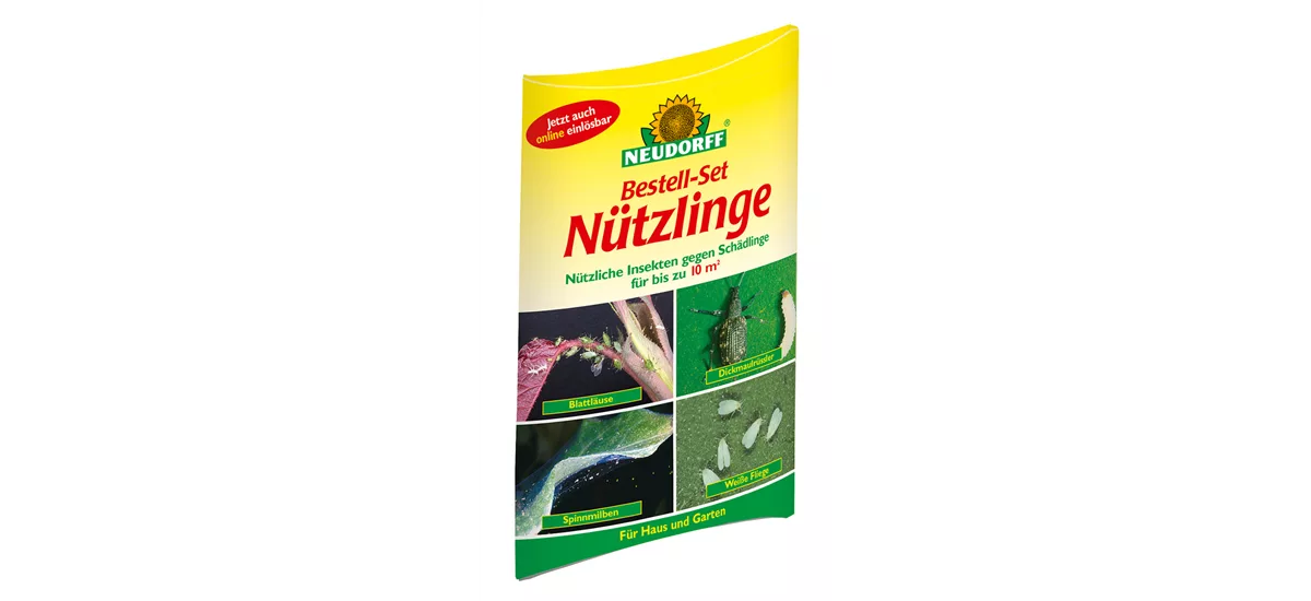 Neudorff Nützlinge gegen Schadinsekten 1 st