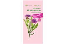 Heimische Wiesen Flockenblume 9x9 cm Wildstaude