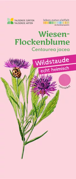 Wiesen-Flockenblume_tgta.jpg