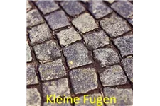 Saatgut 'FUGENMISCHUNG' 10 m² 10 g für 10 m² reine Fugenfläche