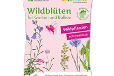 Wildblüten für Garten und Balkon 2 m² NORD 4 g für 2 m² Region NORD