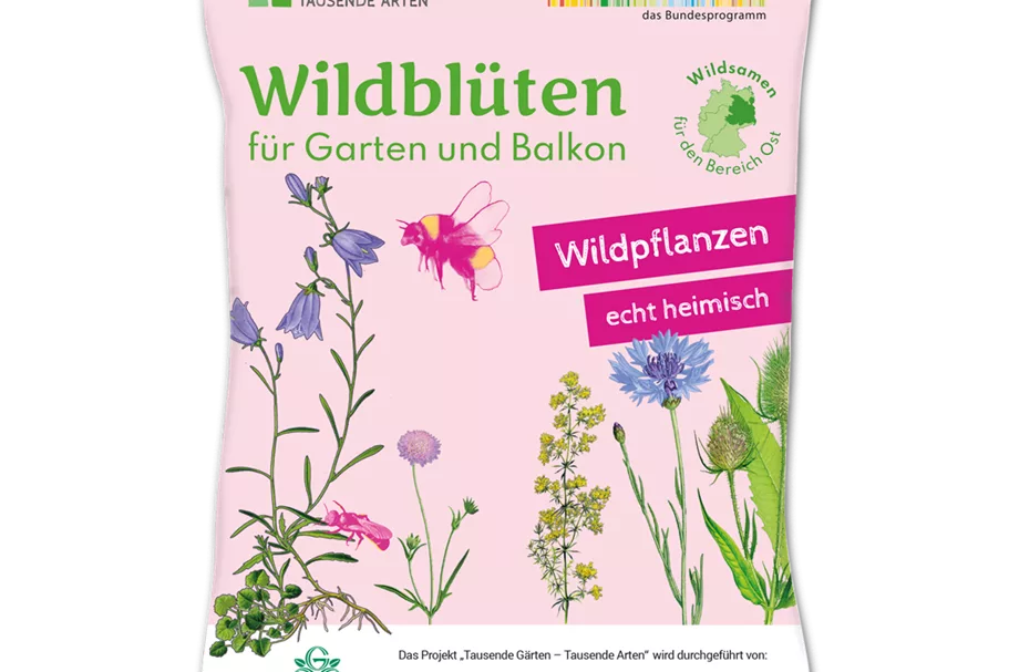 Wildblüten für Garten und Balkon 2 m² OST 4 g für 2 m² Region OST