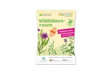 Wildblüten-Rasen - 10 m² 30g - Region Nord