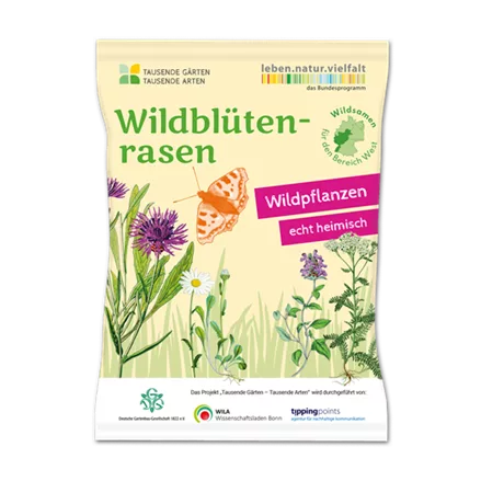 Wildblüten-Rasen - 10 m² WEST