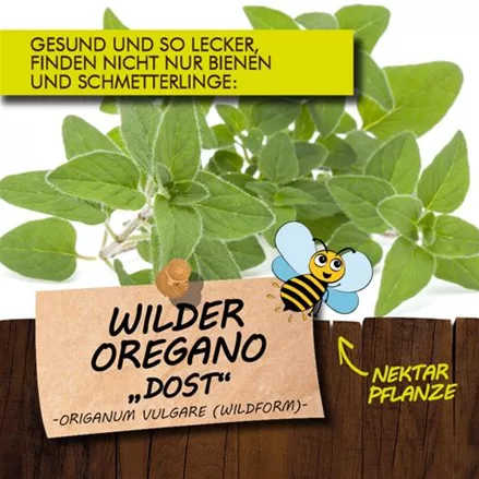 Bio Wilder Oregano "Dost"