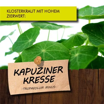 Bio Kapuzinerkresse