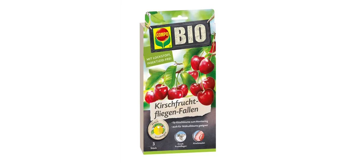 Compo BIO Kirschfruchtfliegen-Falle 3 st