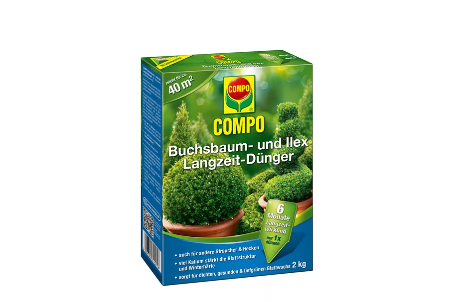 Compo Buchsbaum- und Ilex Langzeit-Dünger 2 kg