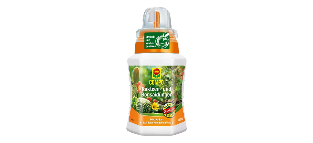 Compo Kakteen- und Sukkulentendünger 250 ml