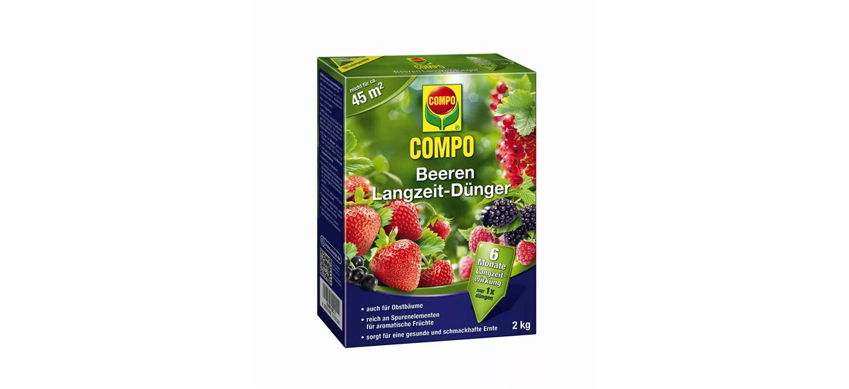 Compo Langzeit Beeren Langzeit-Dünger 2 kg