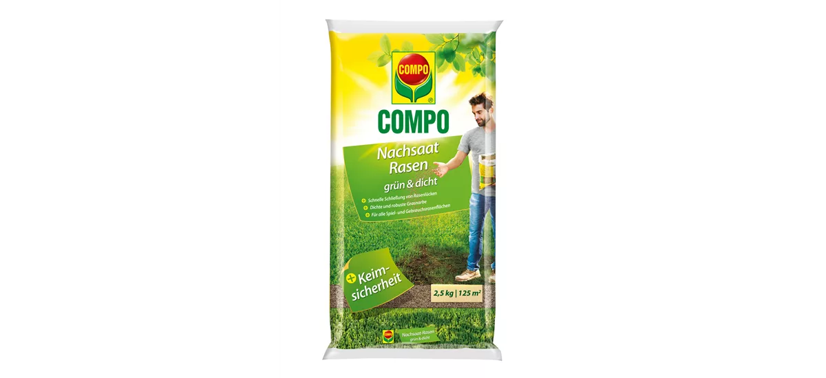 Compo Nachsaat-Rasen grün und dicht 2,5 kg