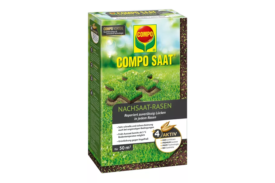 Compo SAAT Nachsaat-Rasen 1 kg