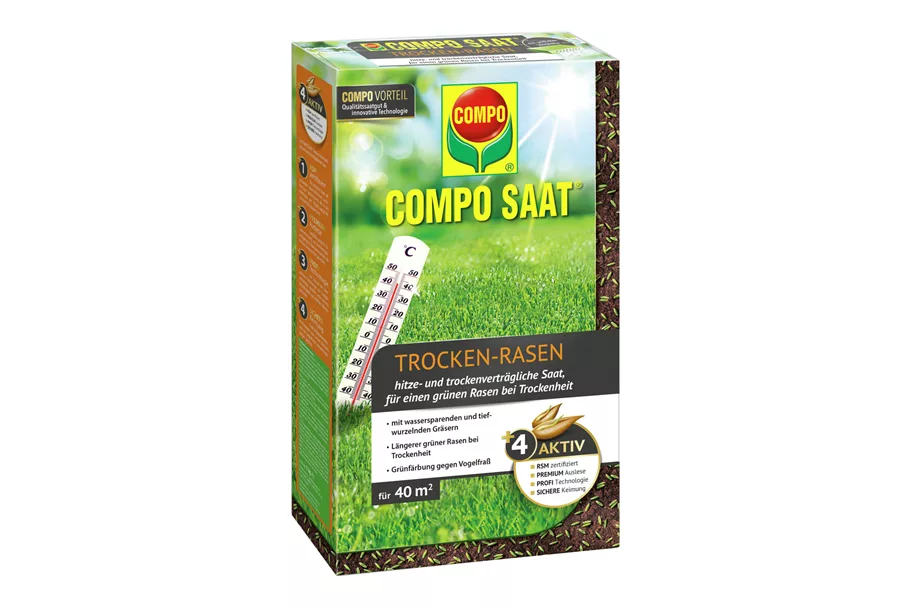 Compo SAAT Trocken-Rasen 1 kg