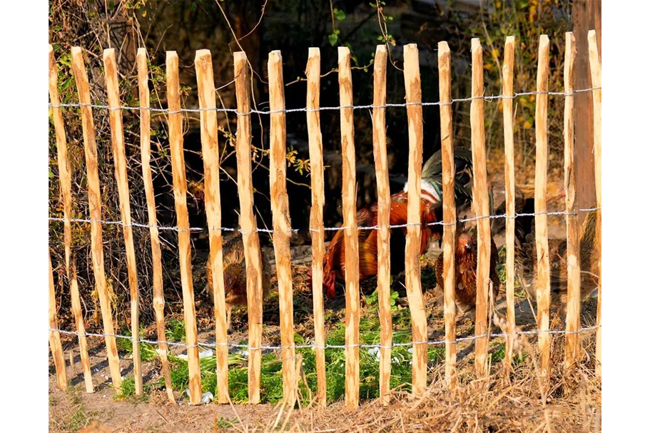 5 Meter Staketenzaun - Gartenzaun aus Haselnuss* Länge: 5 m Höhe: 50 cm Lattenabstand: 4-6 cm