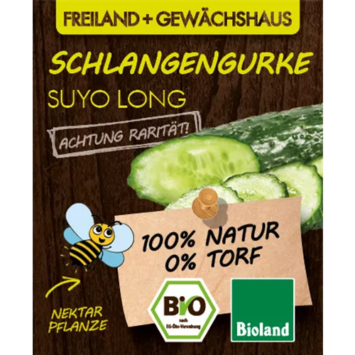 Bio Schlangengurke 'Suyo Long'