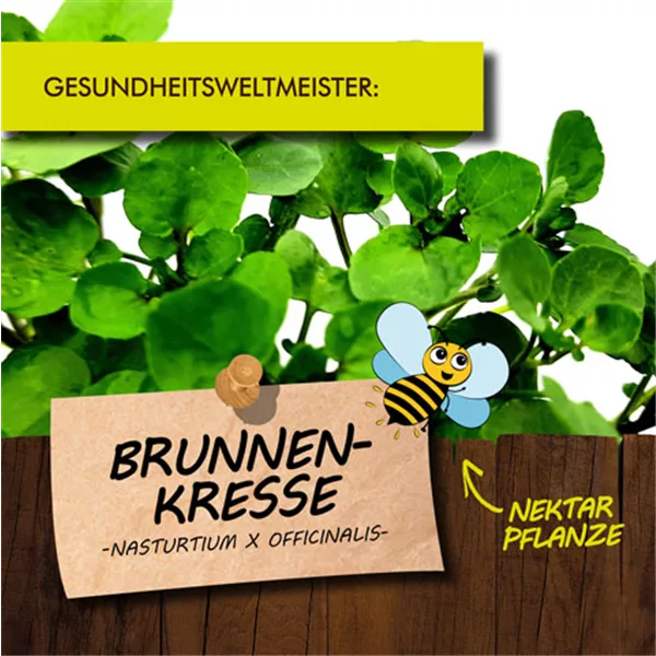 Bio Brunnenkresse