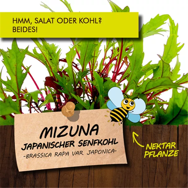 Bio Mizuna