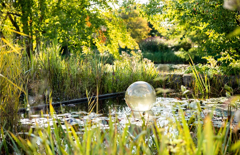 Ein Gartenteich als kleines Stück Natur im eigenen Garten