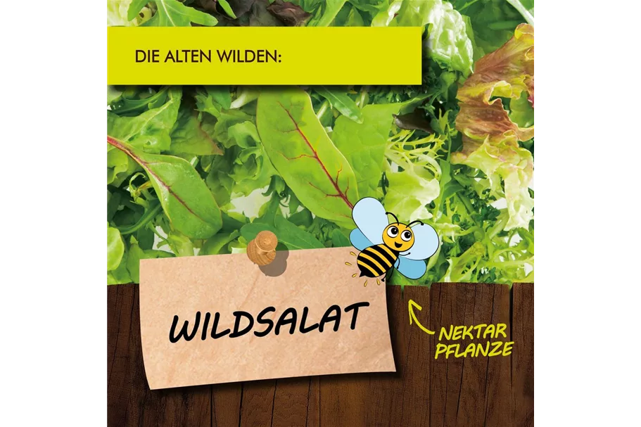 Bio Wildsalat online kaufen bei Olerum