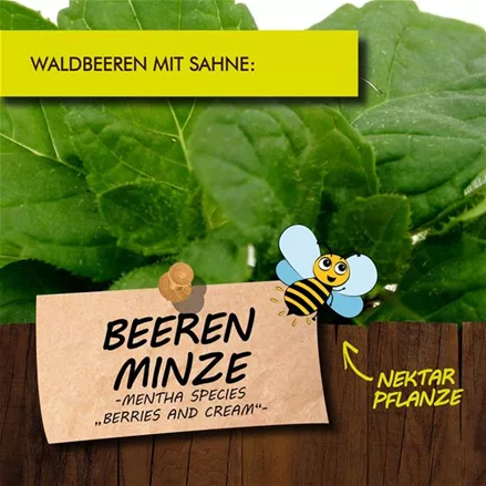 Bio Beerenminze