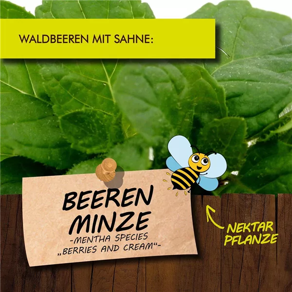 Bio Beerenminze