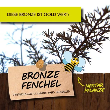 Bio Bronze-Fenchel