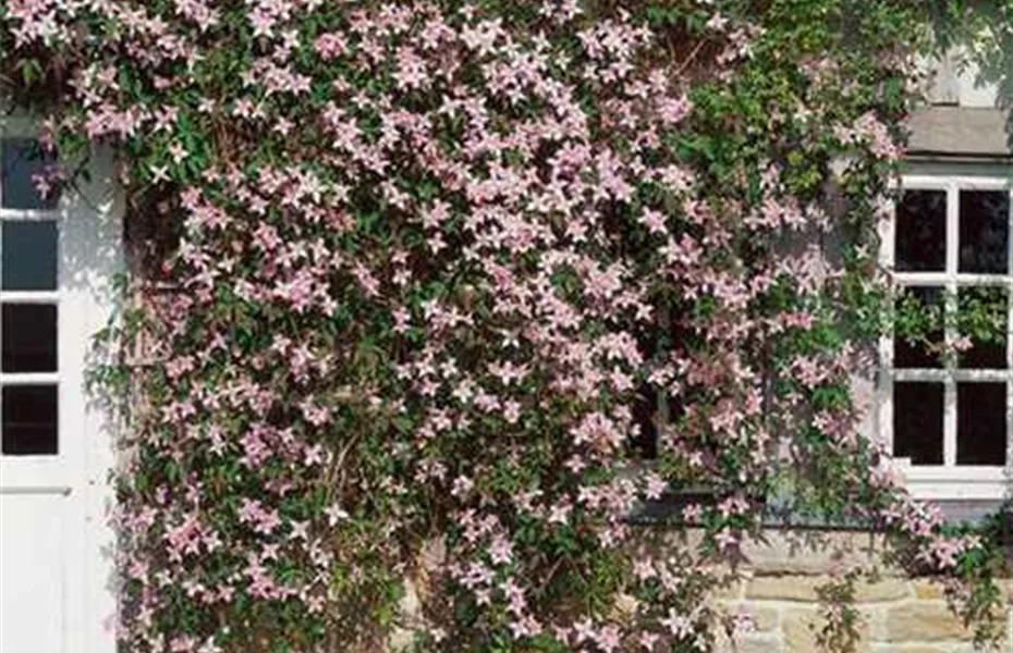 Pflanzzeit & Neubeginn im Garten