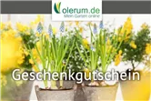 Gutschein Online