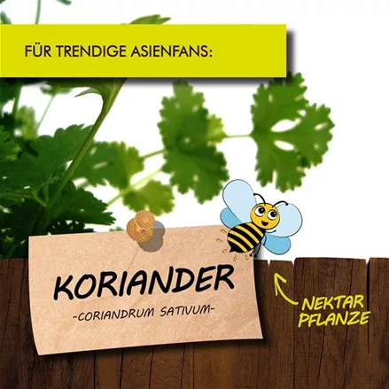 Bio Koriander