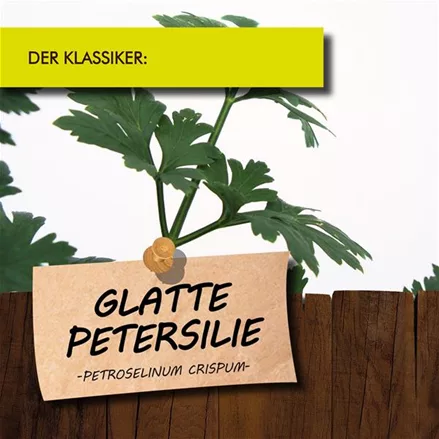 Bio Petersilie glatt