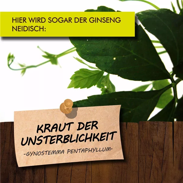 Bio Kraut der Unsterblichkeit