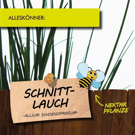 Bio Schnittlauch