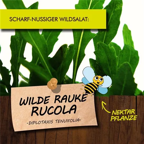 Bio Wilde Rauke