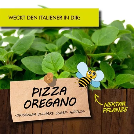 Bio Pizza Oregano