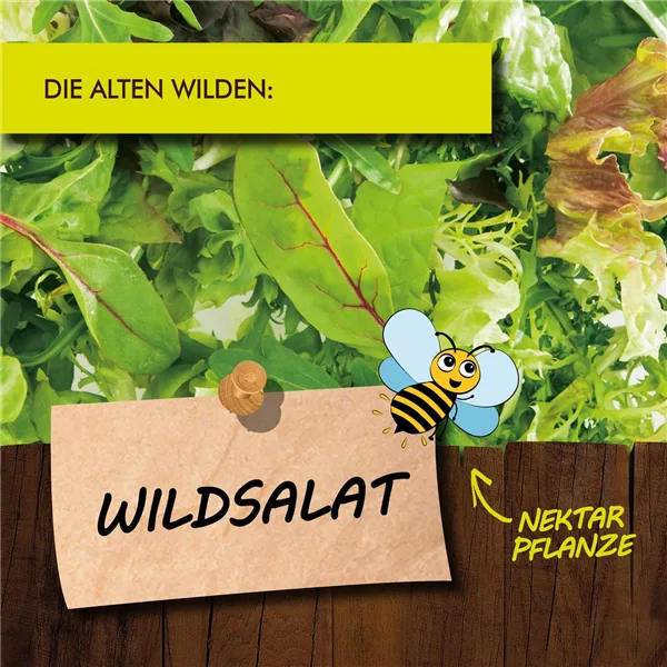 Bio Wildsalat