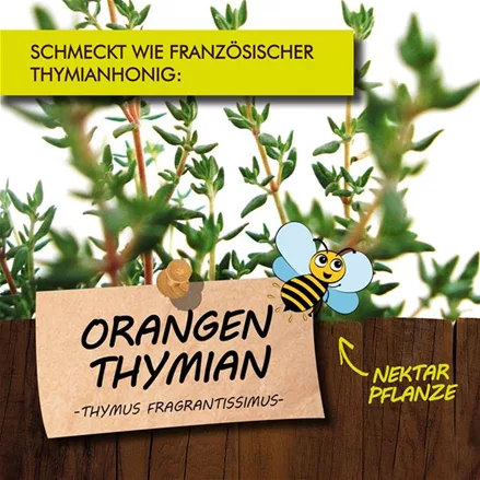 Bio Orangenthymian