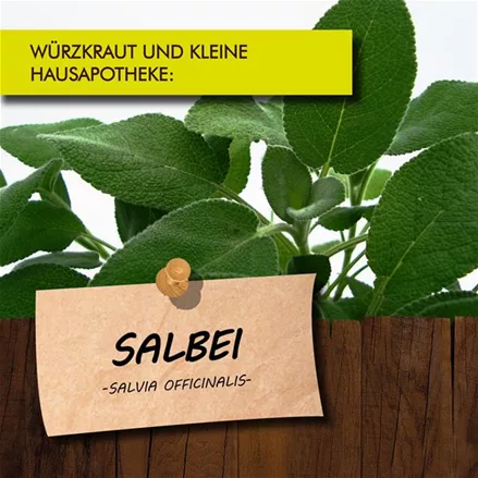 Bio Salbei