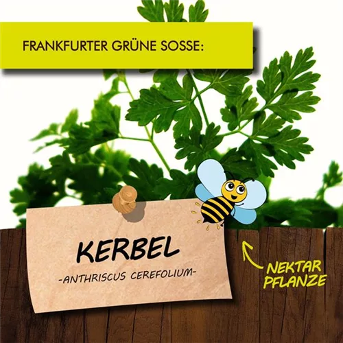 Bio Kerbel