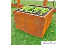 PRIMA TERRA HOCHBEET OPTIMUS 75x75 cm