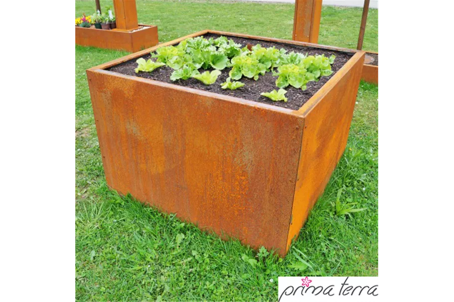 PRIMA TERRA HOCHBEET OPTIMUS 75x75 cm